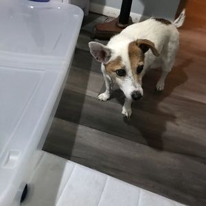 Meet your Posher, Brenda